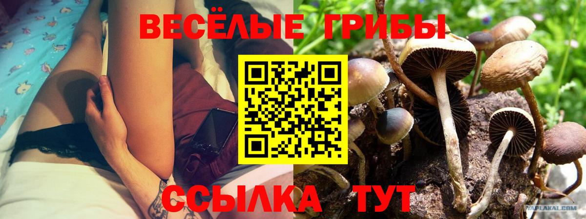 Псилоцибиновые грибы ЛСД Нижний Новгород