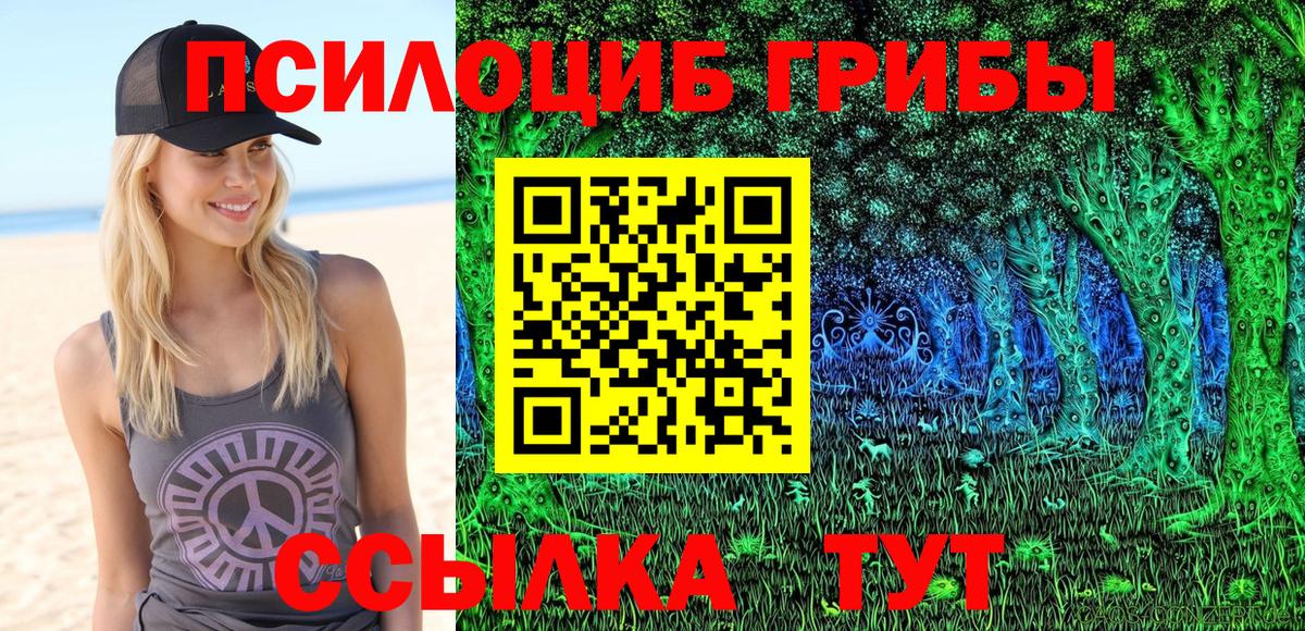 купить наркоту  Вход с VPN  Нижний Новгород  Галлюциногенные грибы Magic Shrooms 